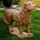 Custom Dog Golden Retriever Outdoor Statue Model # MSC1242