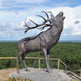 Outdoor Bronze Life-Size Reindeer Statue Model # MSC1249