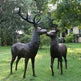 Life Size Bronze Outdoor Deer Statues for Garden Decor Model # MSC1276