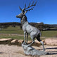 Outdoor Patina Life Size Bronze Elk Statue Model # MSC1296